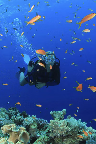 DIVING tours sri lanka