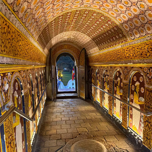TEMPLE OF THE SACRED TOOTH tour image