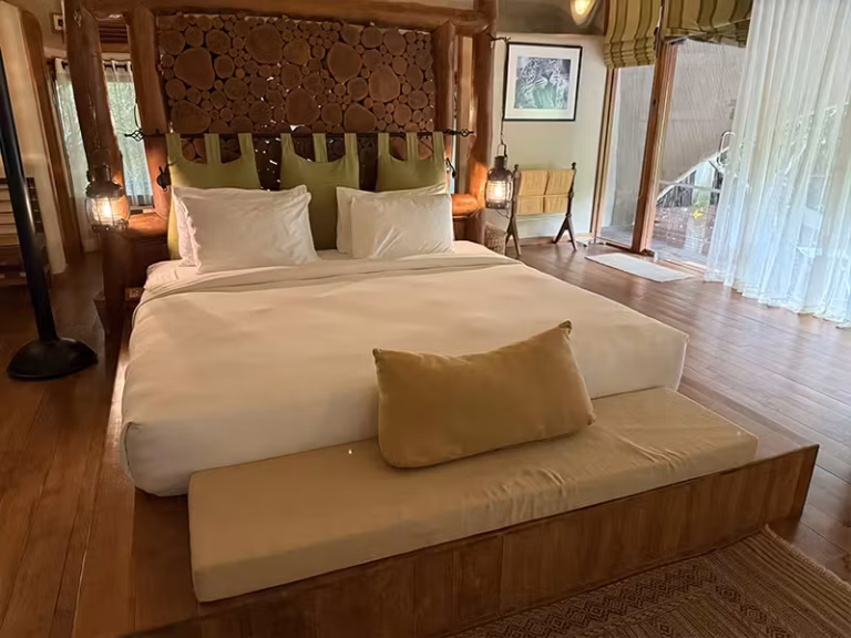 GLAMPING and SAFARI Accommodation category image