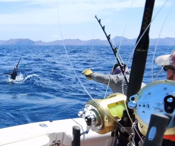 SRI LANKA fishing marlin
