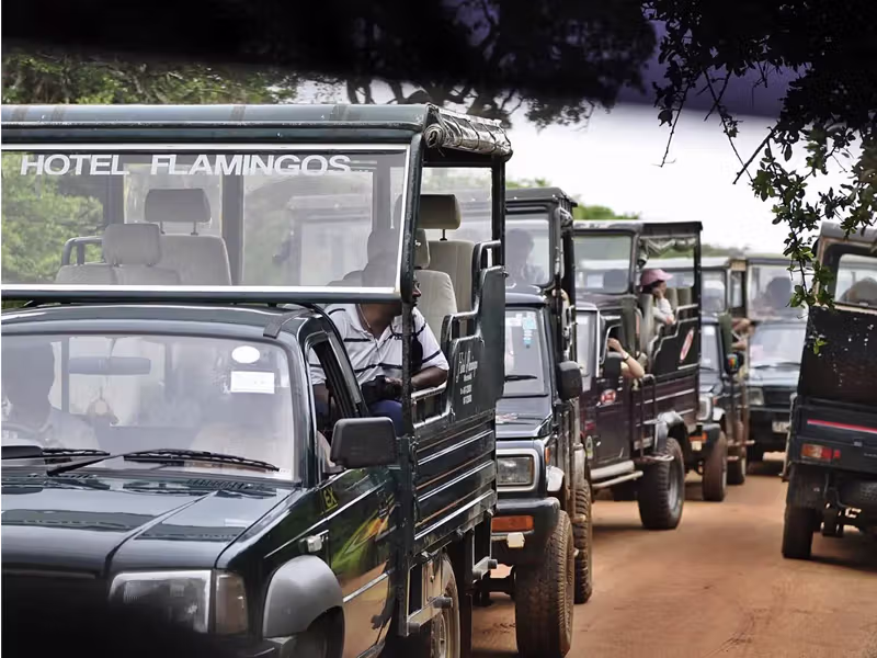 UDAWALAWE jeeps