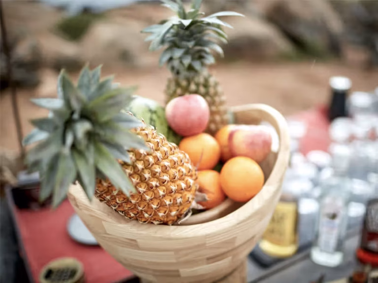 WILD COAST TENTED LODGE drinks pineapple
